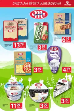 Pogląd oferty "Selgros cash&carry gazetka - Specjalna oferta jubileuszowa" - ważna od 13.08.2026 | Strona: 3 | Produkty: Ser w plastrach, Cream cheese, Mascarpone, Zapiekanki