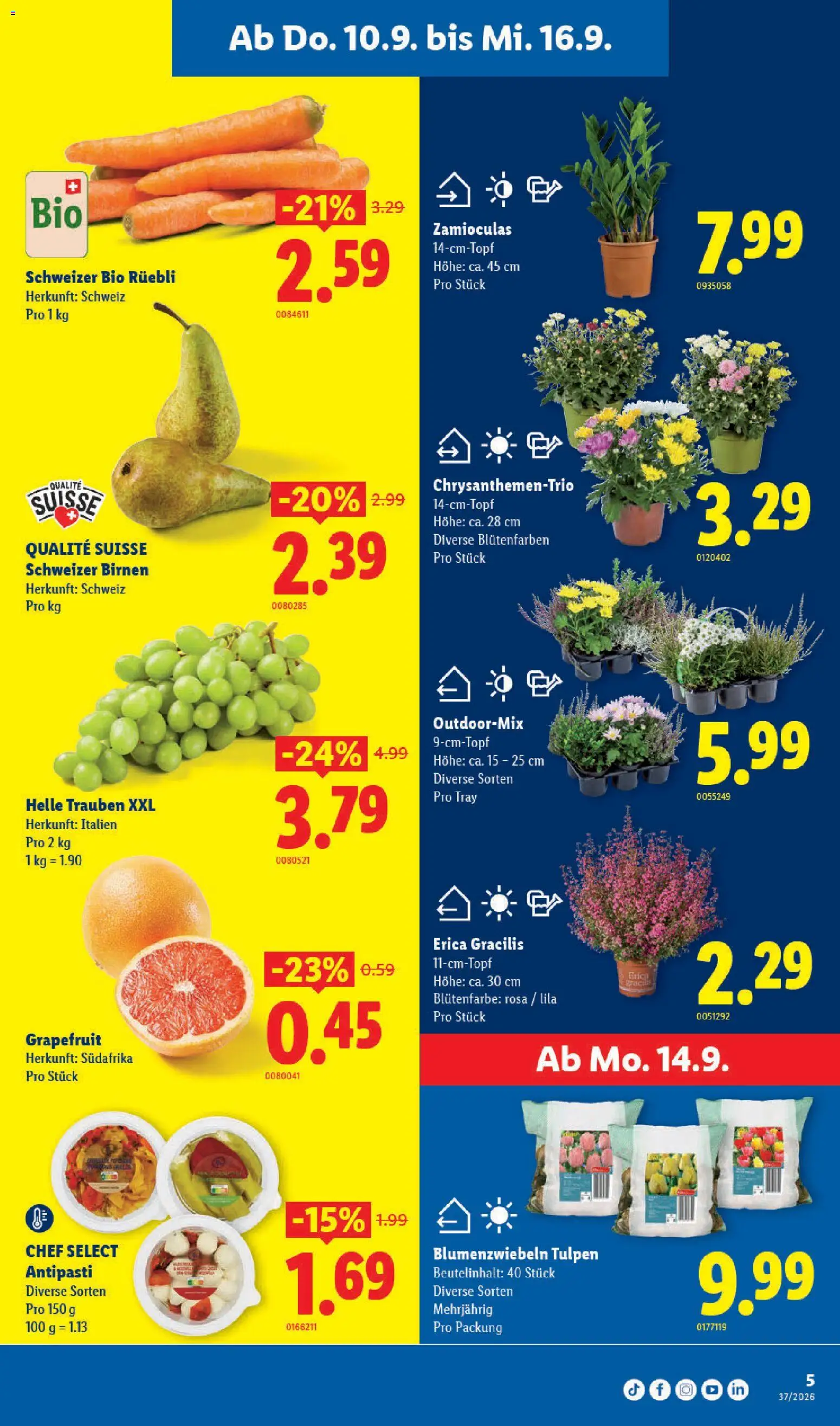 Lidl aktionen – gültig ab 10.09.2026 | Seite: 5