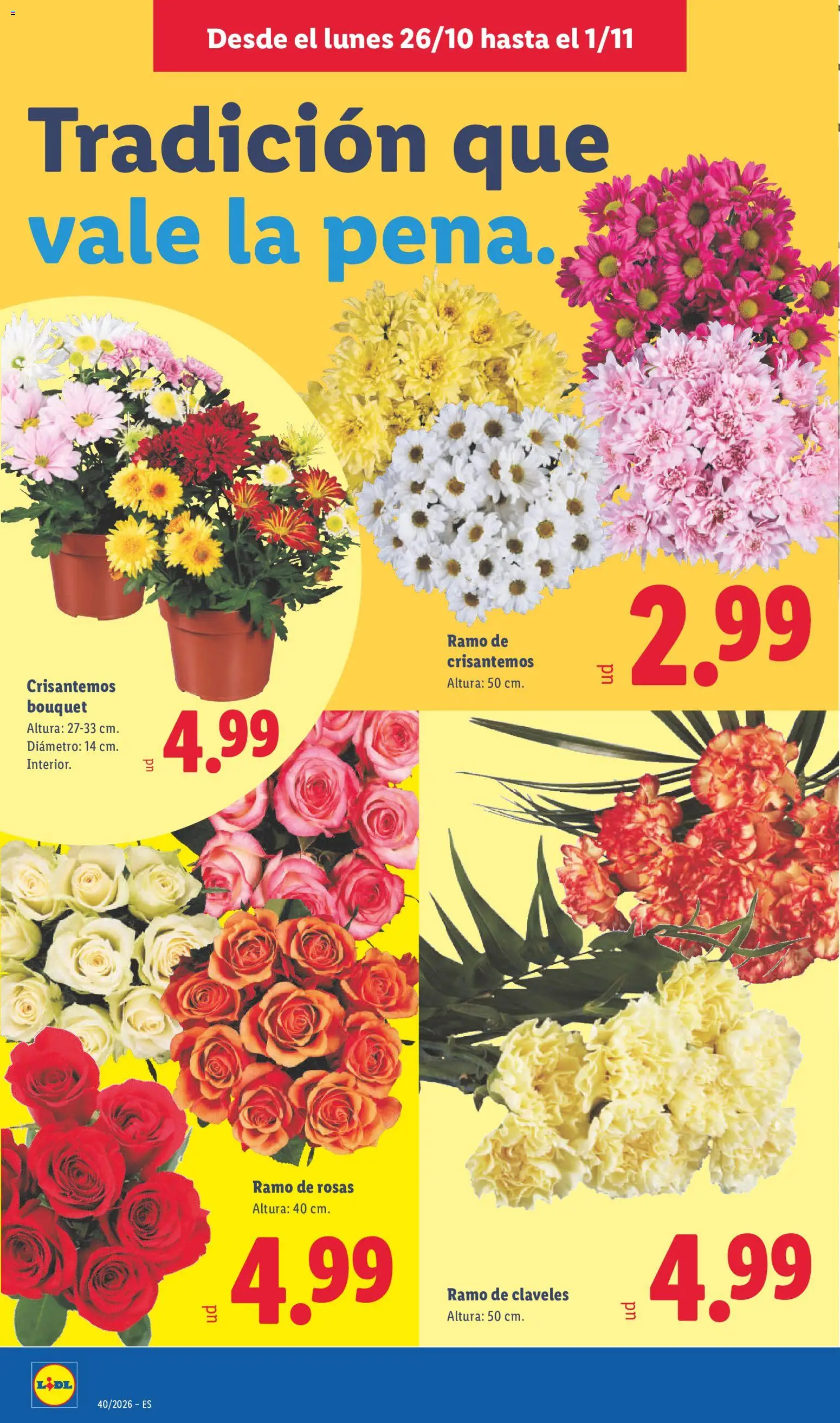 Lidl folleto │ válido desde el 26/10/2026 | Página: 48
