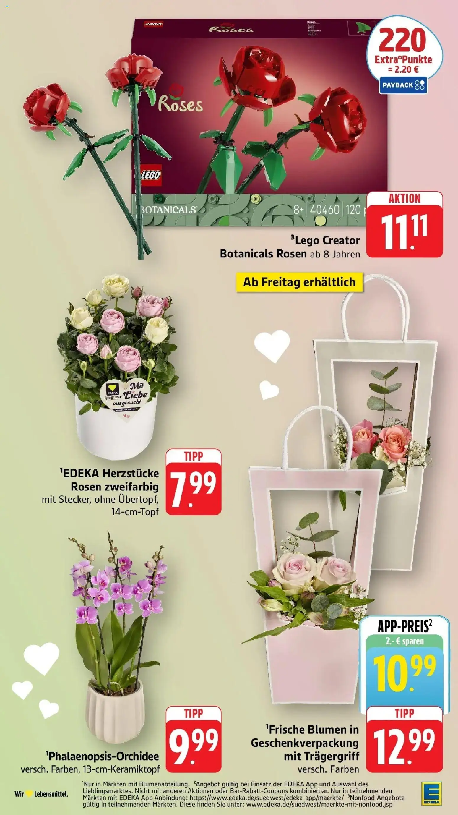 Edeka prospekt Nonnenhorn / Bodensee	 – gültig ab 03.05.2026 | Seite: 28 | Produkte: Blumen