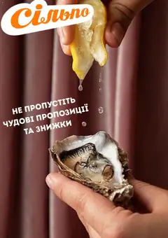 Сільпо акції дійснийкції з 08.10.2026