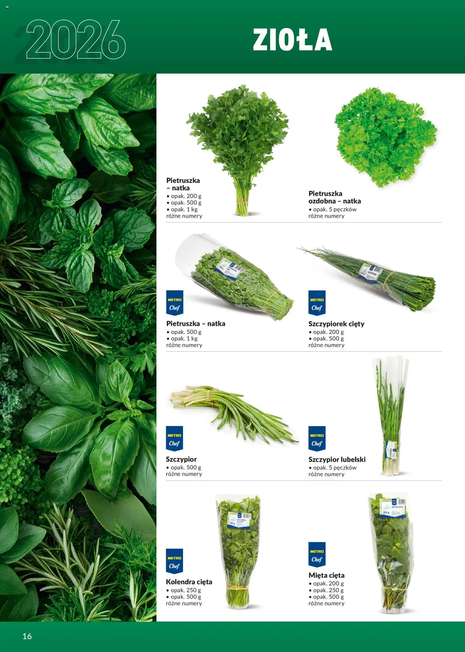 Makro Gazetka - Ultra fresh od 01.03.2026 | Strona: 16 | Produkty: Pietruszka, Mięta