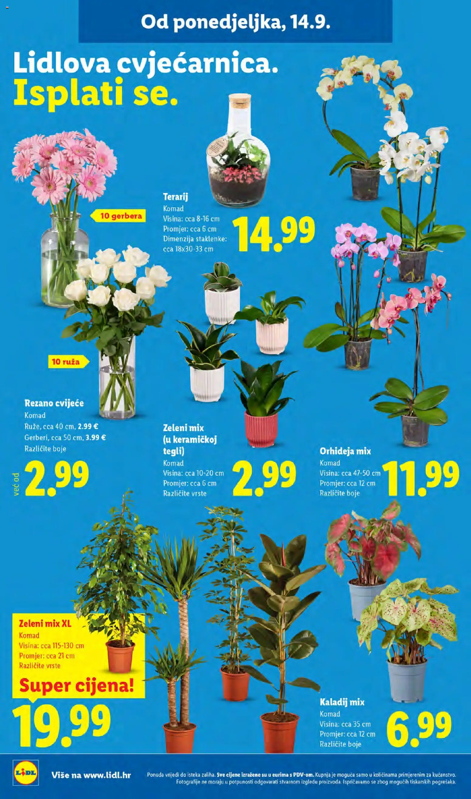 Lidl katalog | vrijedi od 14.09.2026 | Stranica: 52