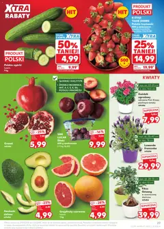 Pogląd oferty "Kaufland gazetka" - ważna od 29.04.2026 | Strona: 27 | Produkty: Karta, Śliwki, Ogórki, Kwiaty