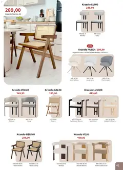 Pogląd oferty "Bodzio Katalog" - ważna od 01.04.2026 | Strona: 41 | Produkty: Cappuccino, Krzesło
