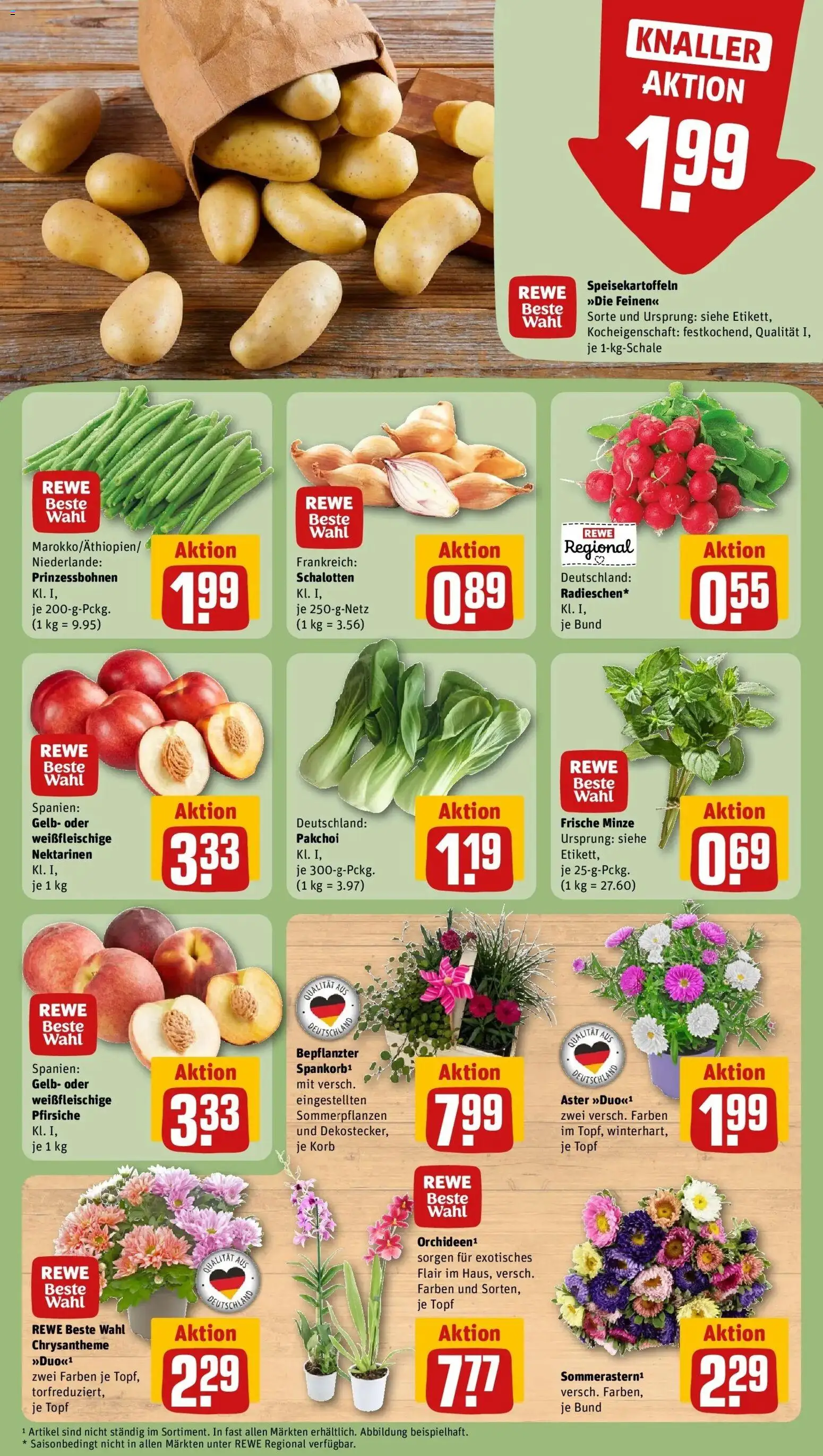 REWE Prospekt ab 03.08.2026 zum Blättern » Angebote | Seite: 7 | Produkte: Nektarinen, Korb