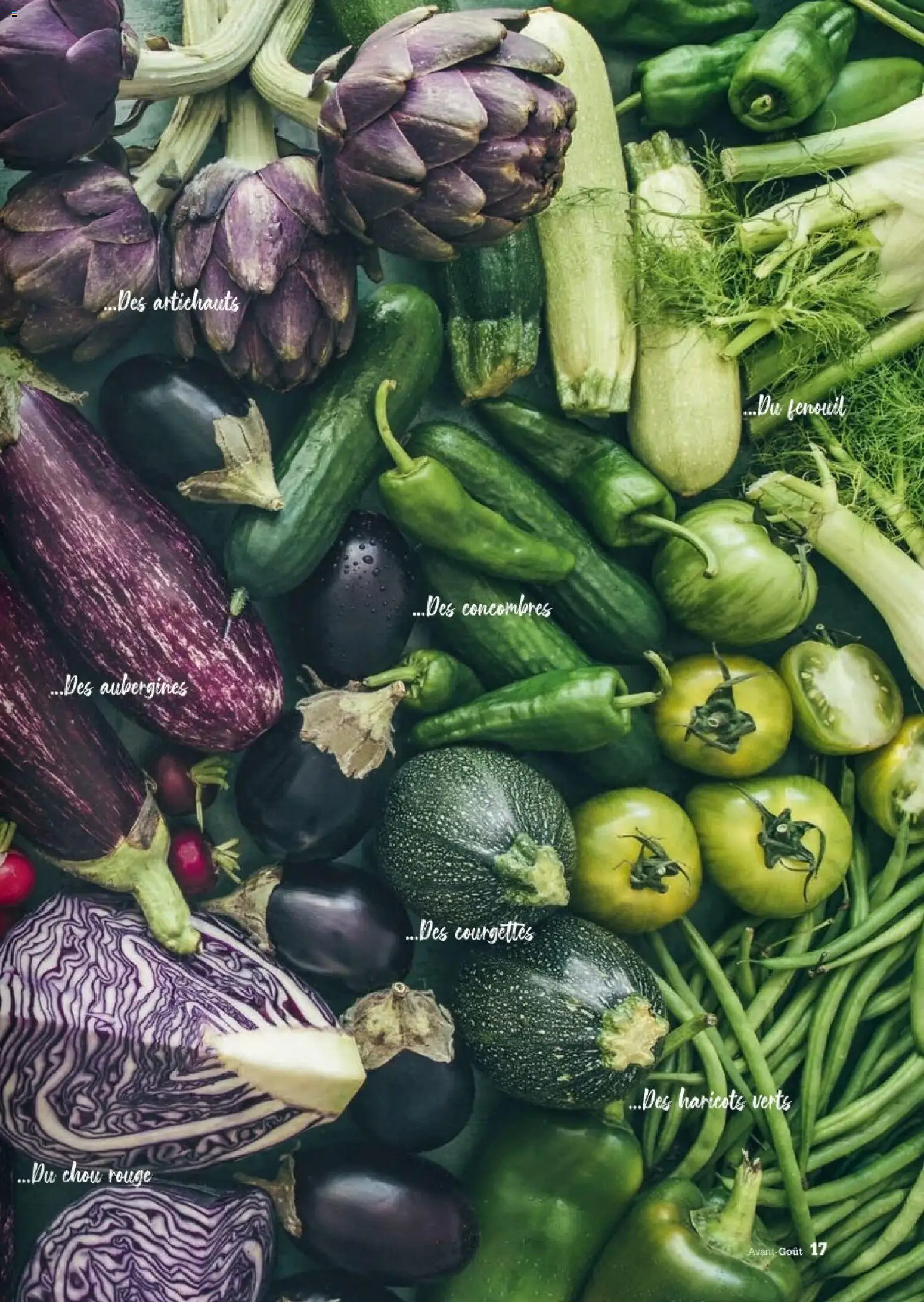 {H1} | Page: 17 | Produits: Chou rouge, Fenouil, Haricots, Concombres
