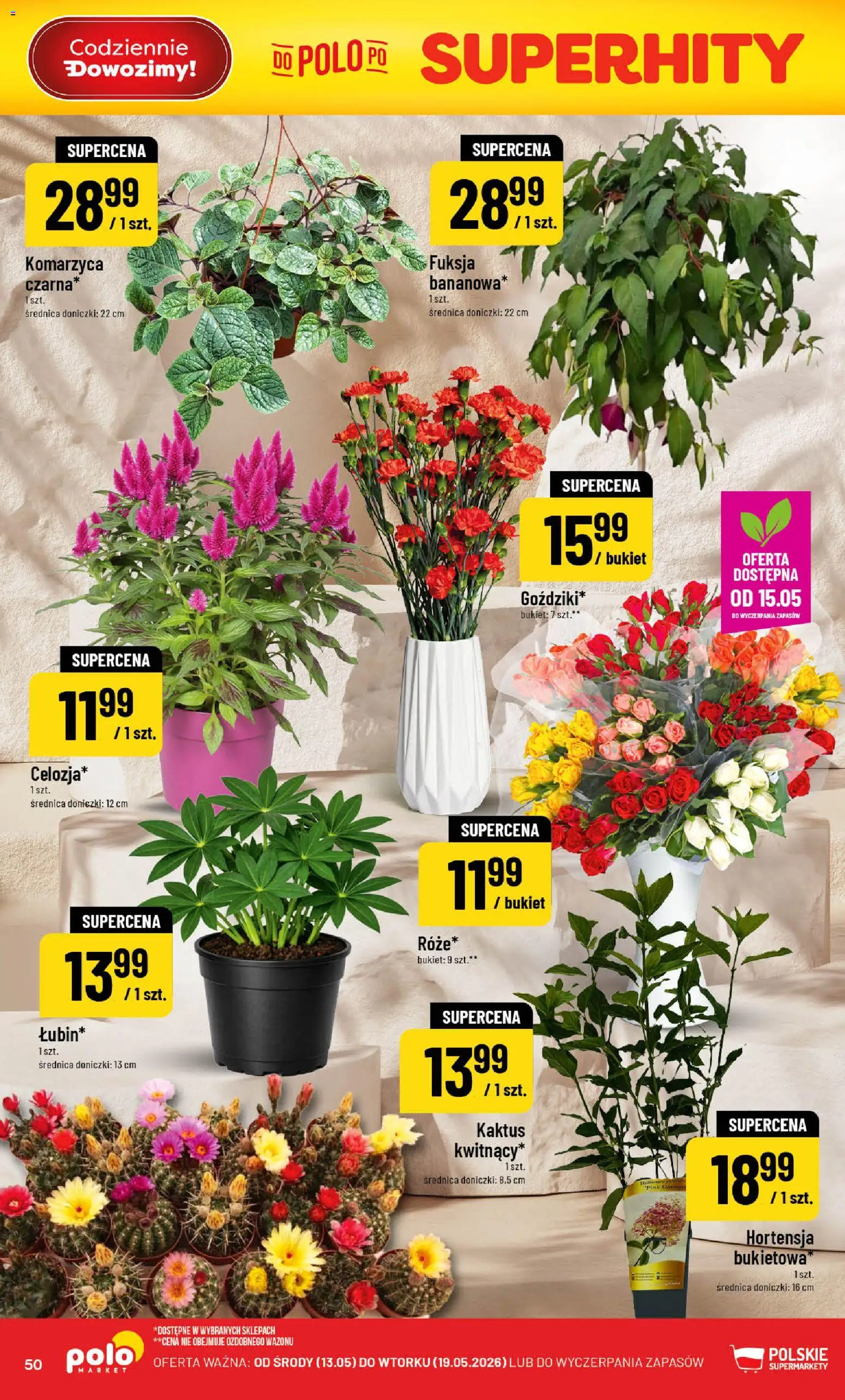 POLOmarket gazetka od 13.05.2026 | Strona: 50 | Produkty: Doniczki