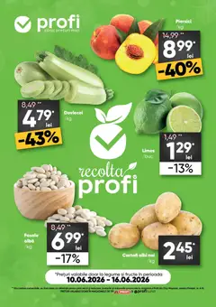 Ofertele Profi valabile de la 10.06.2026