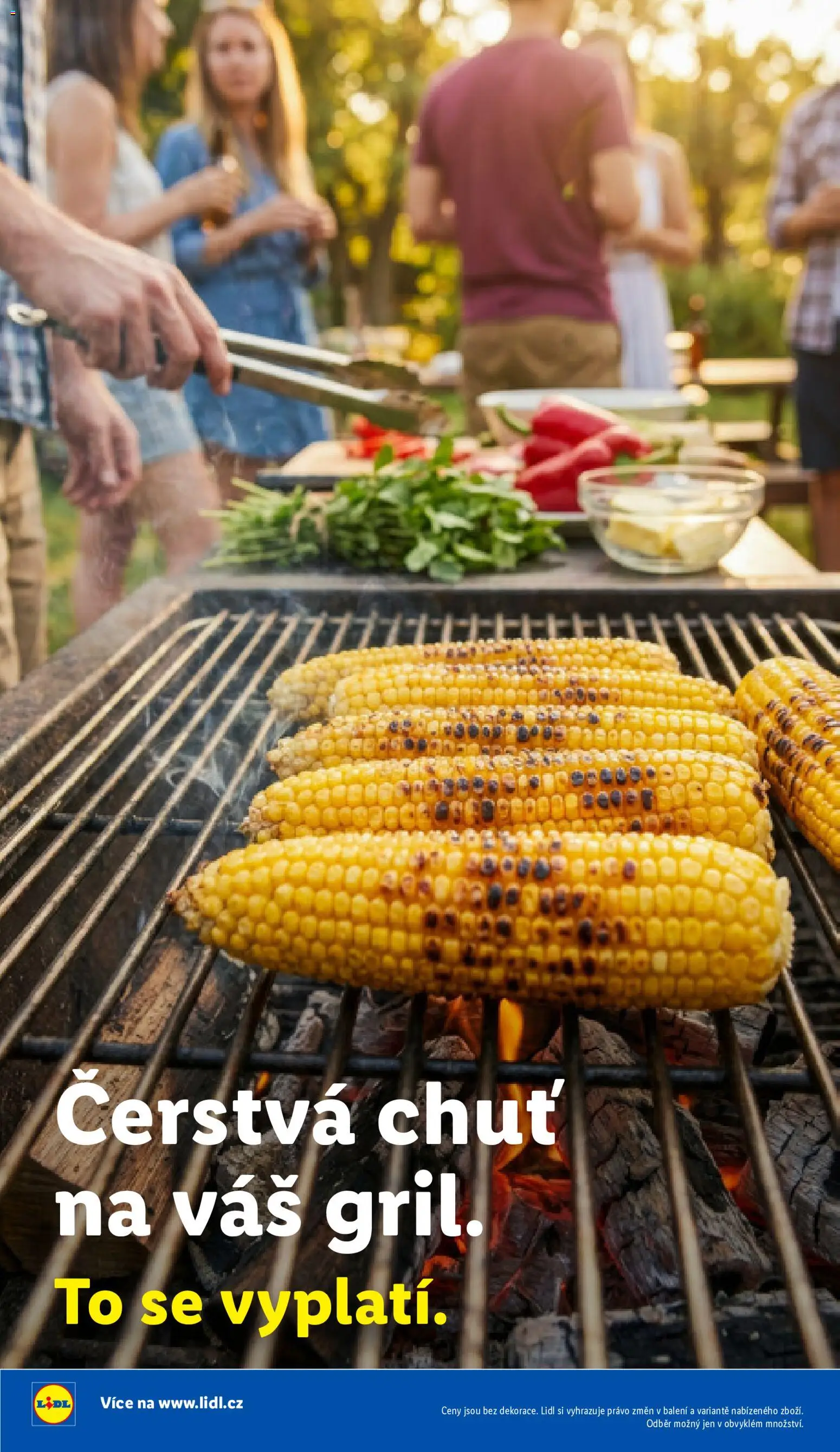 Lidl leták - Vše pro skvělé grilování od 05.05.2026 | Strana: 40