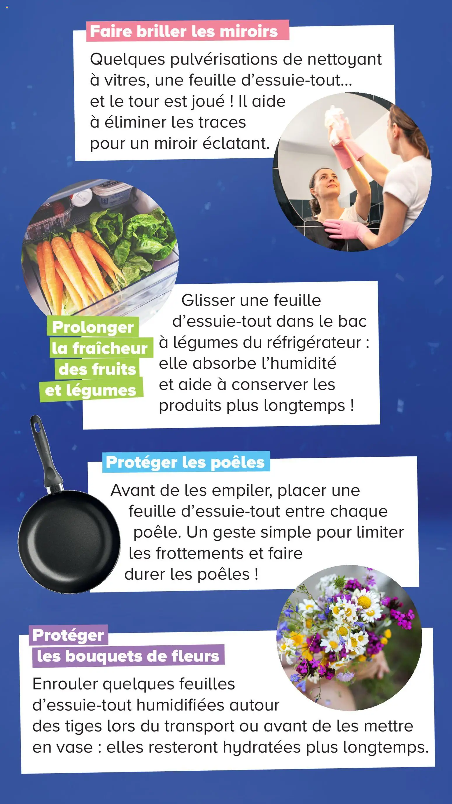 {H1} | Page: 16 | Produits: Réfrigérateur, Fleurs, Fruits, Miroir