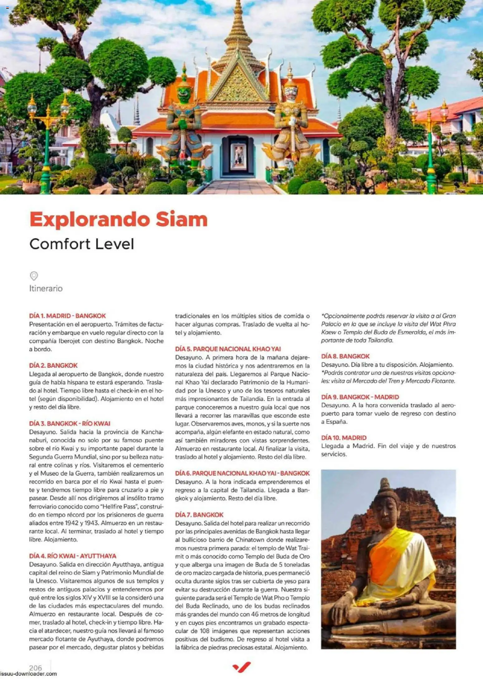 Halcón Viajes Comfort level 2026 │ válido desde el 04.06.2026 | Página: 206 | Productos: Té