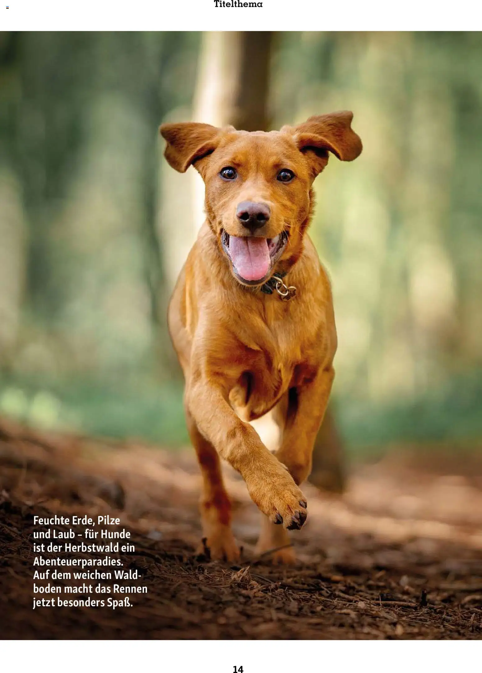 Fressnapf Friends Magazin – gültig ab 01.09.2026 | Seite: 14