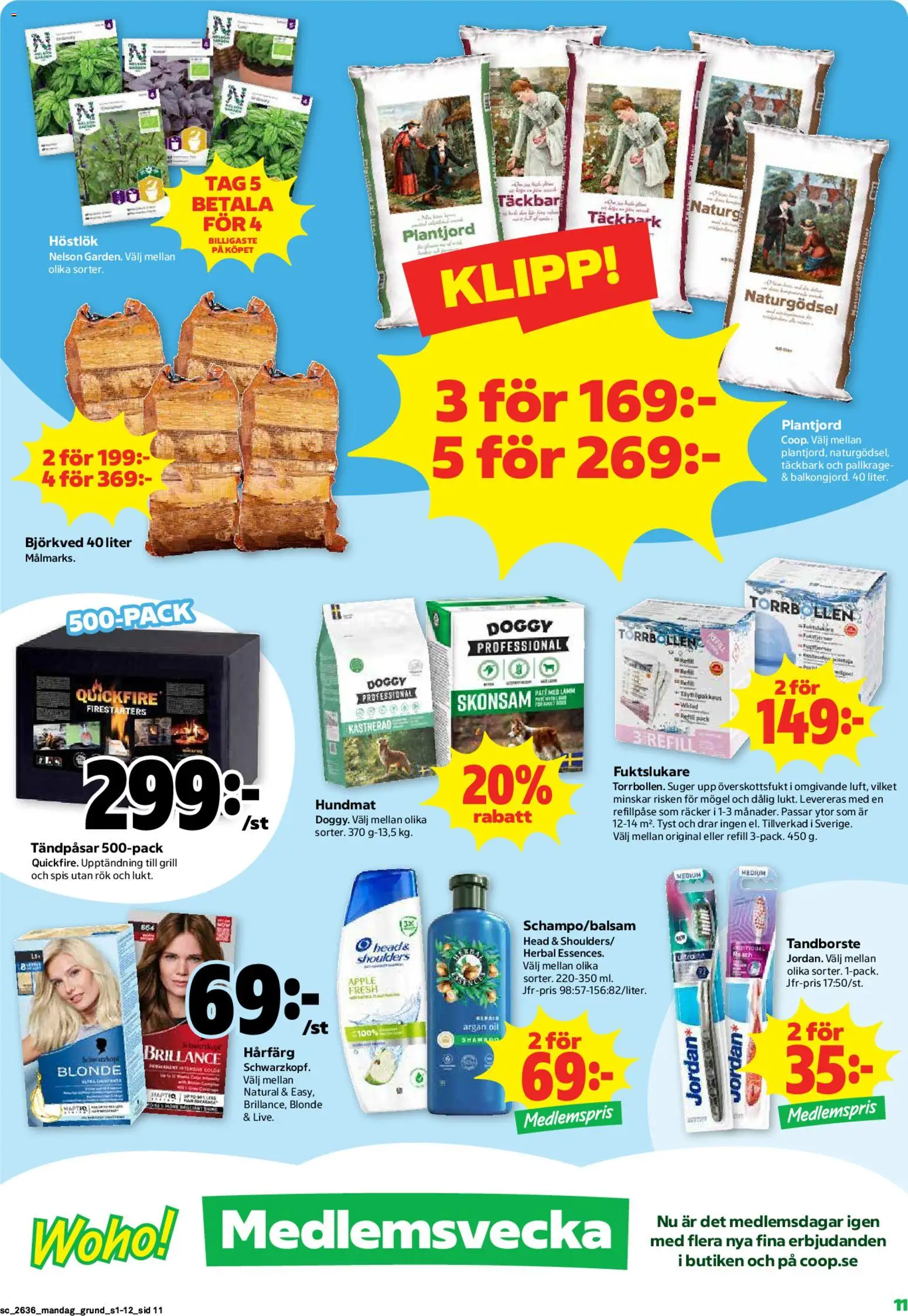 Stora Coop reklamblad aktuell från 31/08/2026 | Sida: 11 | Produkter: Pallkrage, Tandborste, Äpple, Hundmat