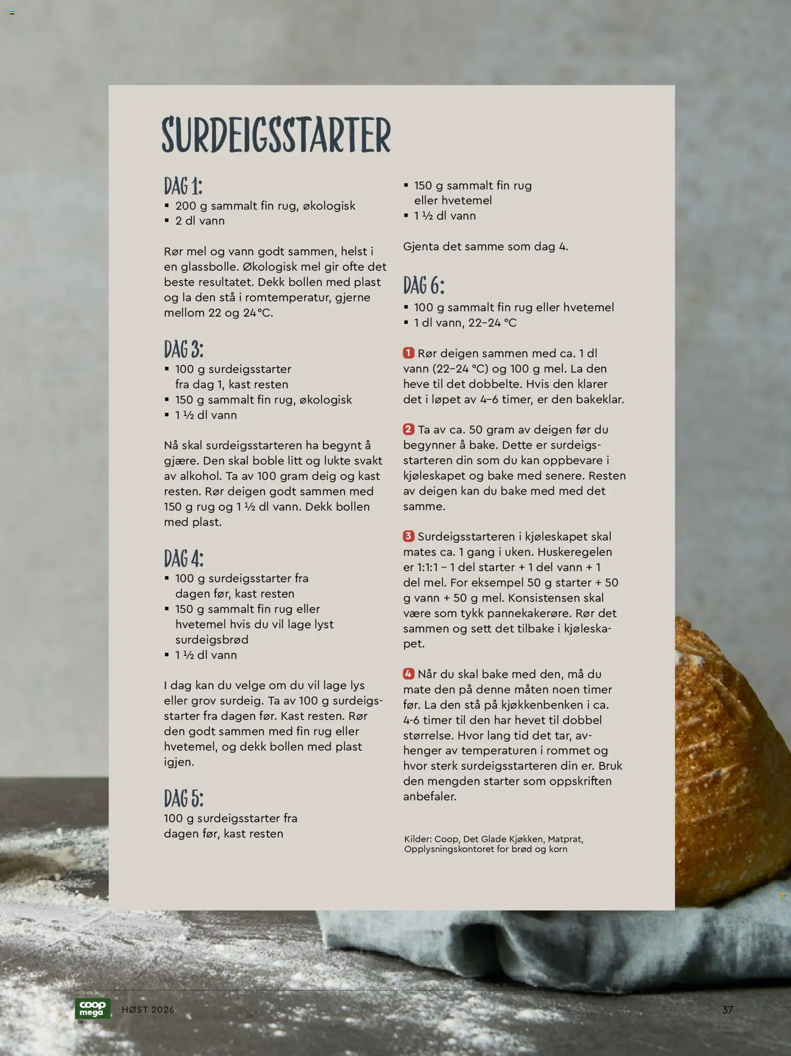 {H1} | Side: 37 | Produkter: Deig, Hvetemel, Surdeigsbrød, 1