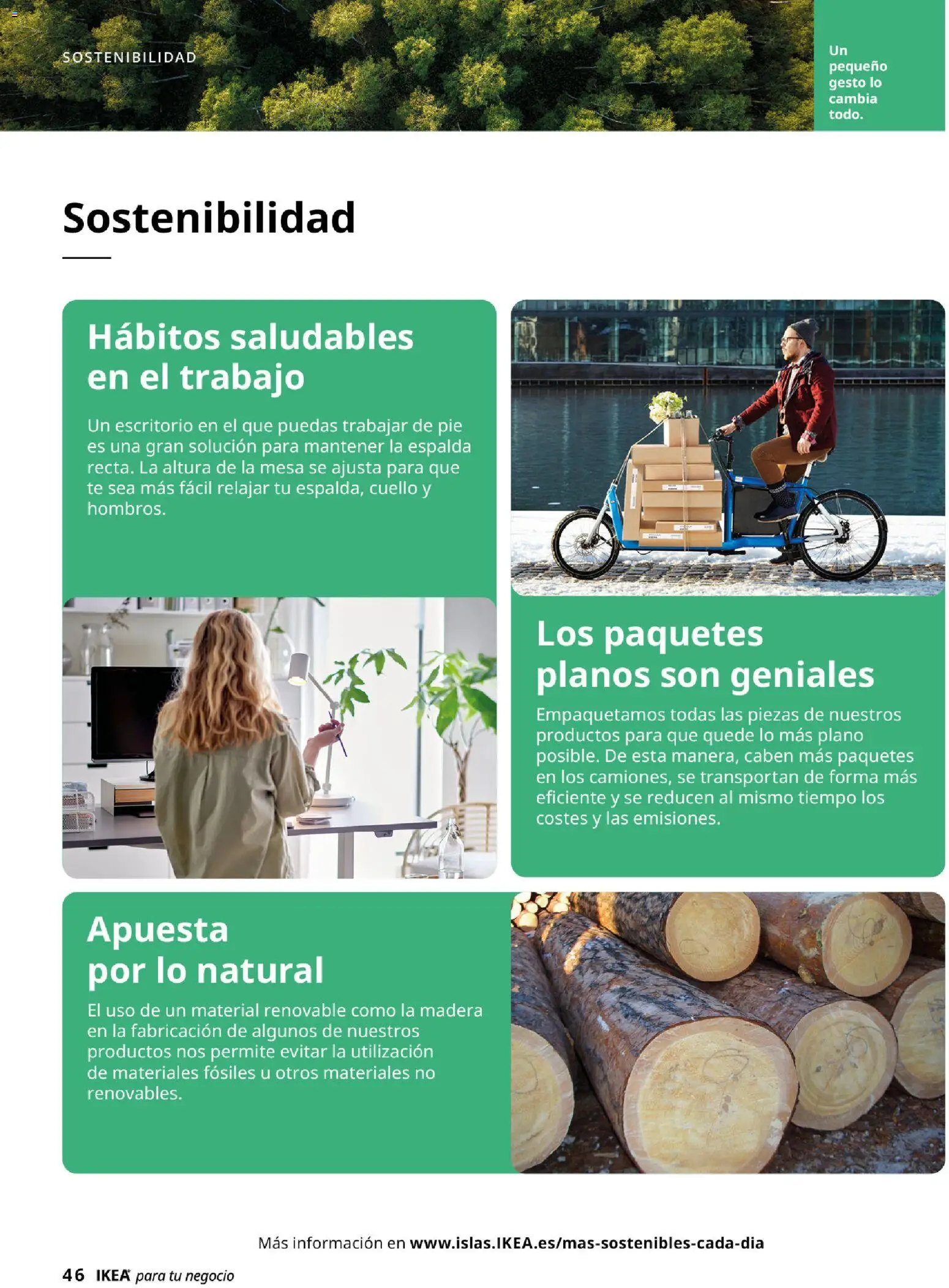 IKEA - IKEA para tu negocio │ válido desde el 01/09/2026 | Página: 46 | Productos: Té, Mesa