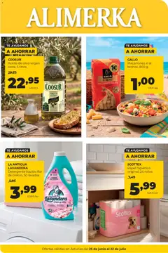 Vista previa Alimerka folleto Asturias válido desde el 25/06/2026