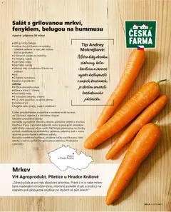 Náhled letáku Billa leták - Gusto: Podzim 2026 od 01.09.2026 | Strana: 19 | Produkty: Olivový olej, Olej, Salát, Chilli