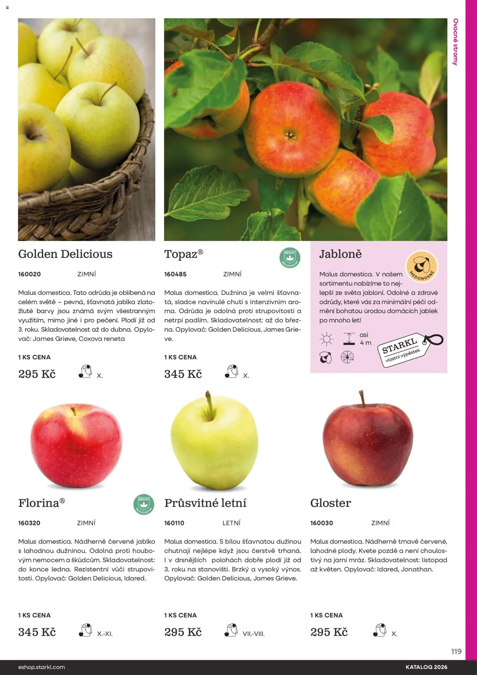 Starkl katalog od 25.02.2026 | Strana: 119 | Produkty: Jablka, Barvy
