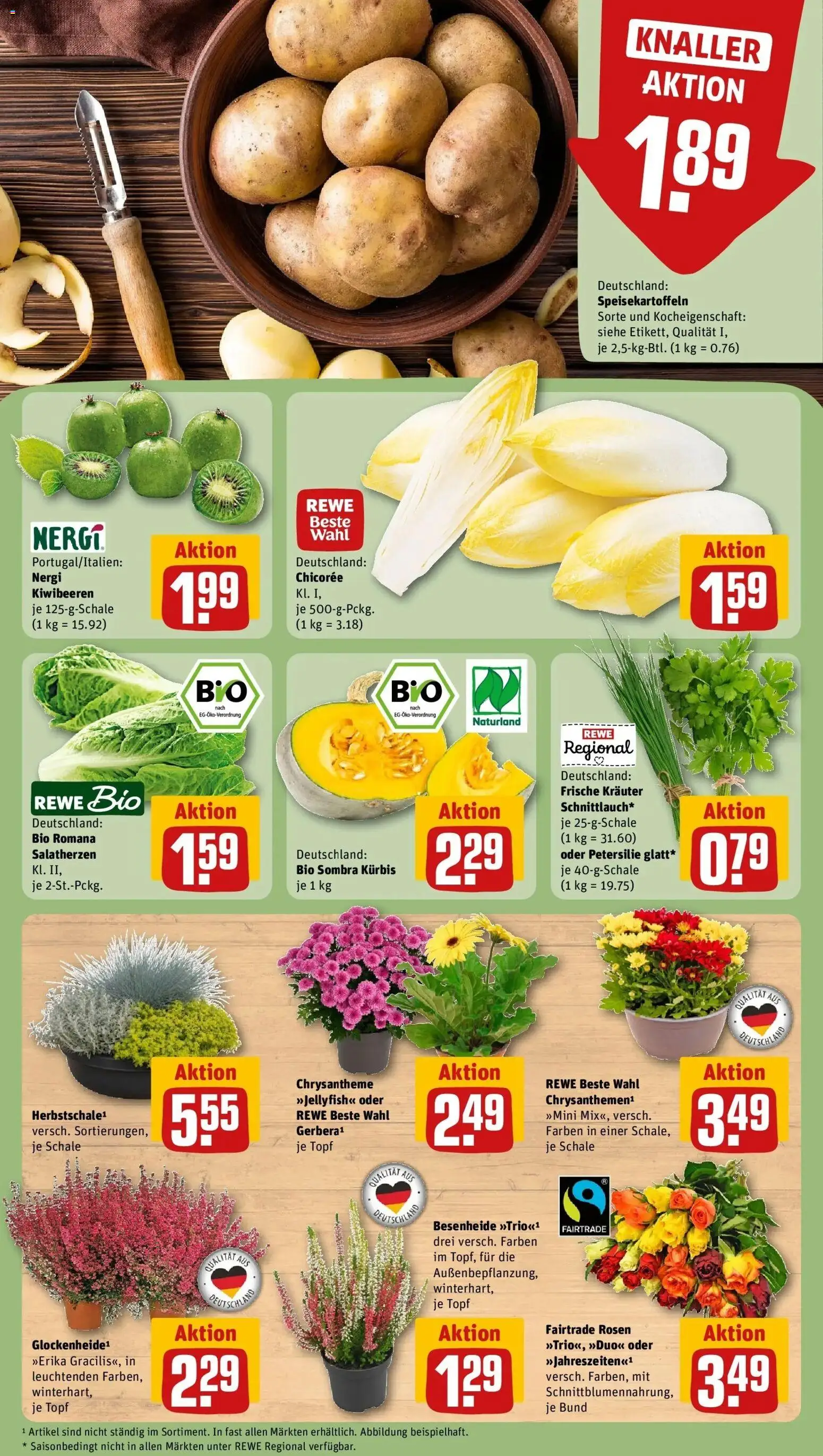 REWE Prospekt ab 21.09.2026 zum Blättern » Angebote | Seite: 13 | Produkte: Kürbis, Petersilie