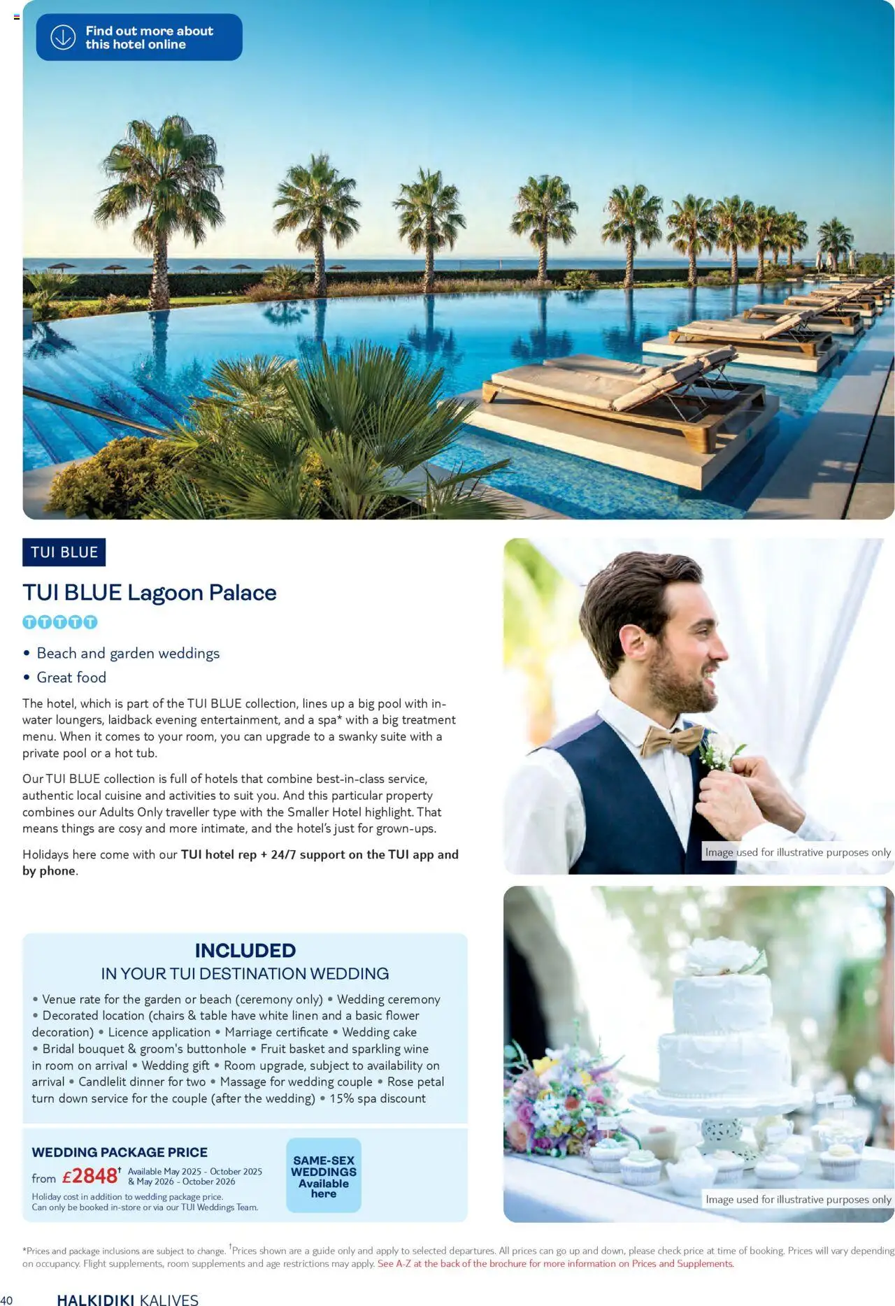 {H1} | Page: 40 | Products: Basket, Suit, Wine, Cake