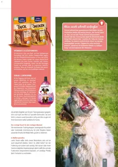 zookauf Themenkatalog Hund ab 18.05.2026 gültig | Seite: 63