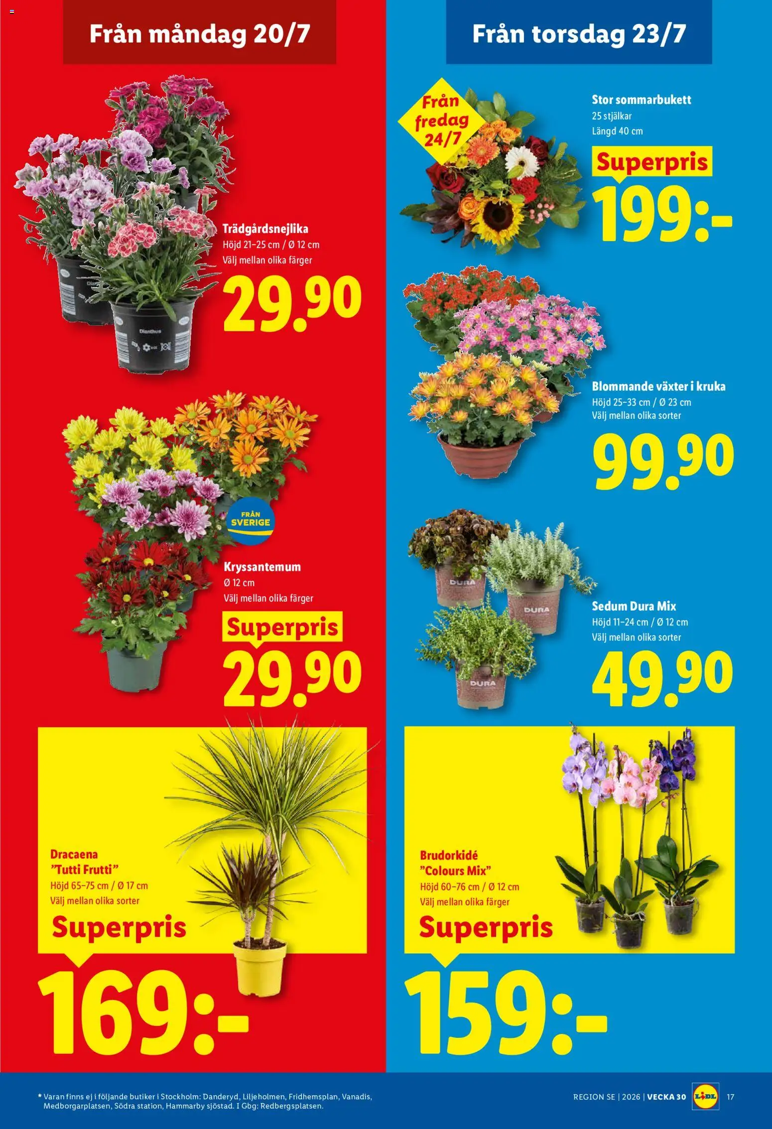 Lidl reklamblad aktuell från 20/07/2026 | Sida: 22 | Produkter: Kruka, Tutti frutti