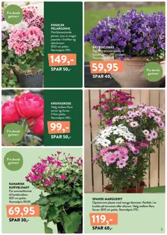 Plantorama - Smugkig avisen gyldig fra 08.05.2026 | Side: 5 | Produkter: Krukke, Søm