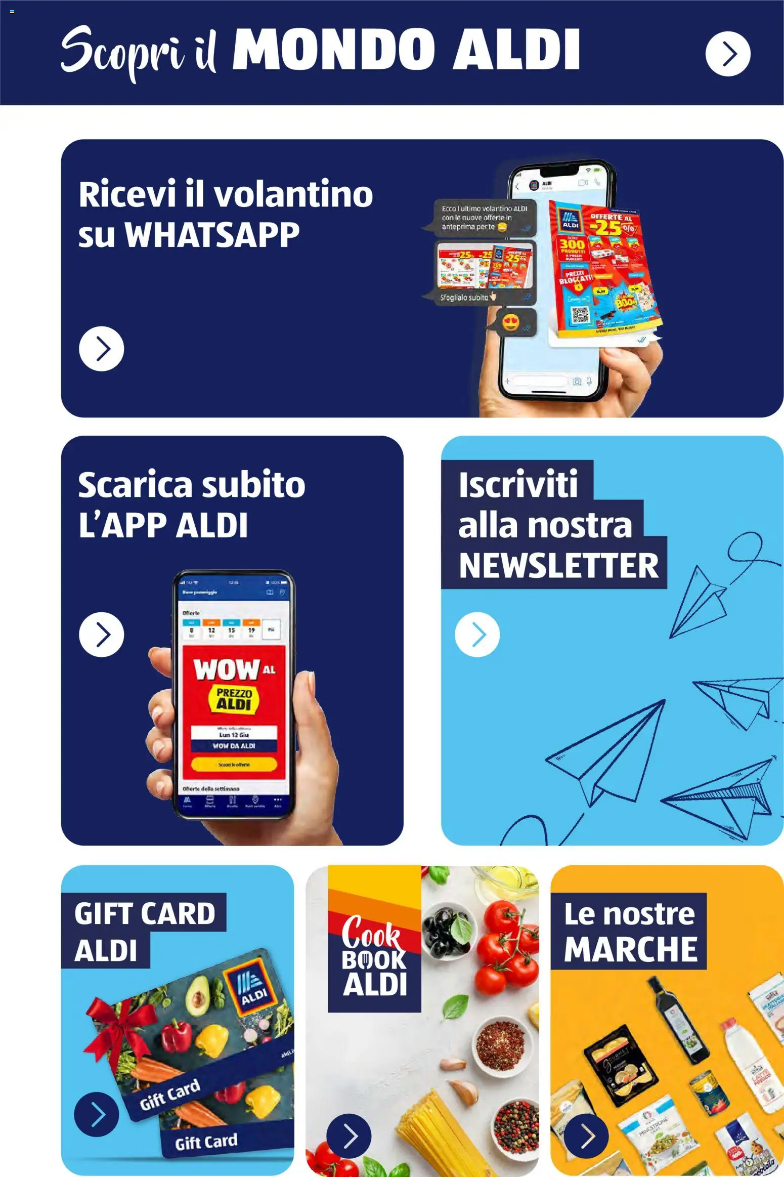 Volantino Aldi del 12/01/2026 | Pagina: 65 | Prodotti: Minestrone, Tè, Latte