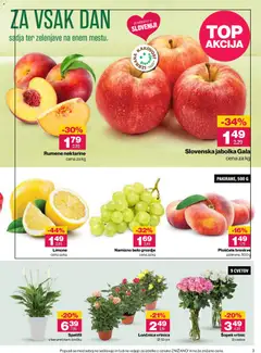 Mercator katalog akcije – veljaven od 03.09.2026 | Stran: 3