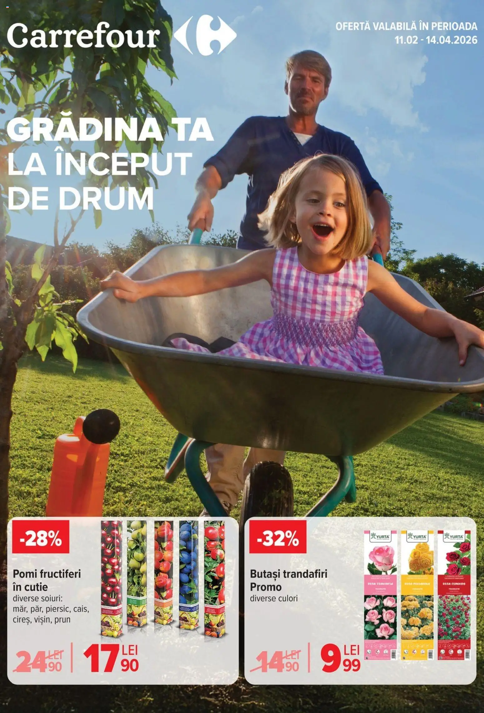 Noul catalog Carrefour – valabil de la 11.02.2026 | Pagină: 1 | Produse: Gradina, Cutie