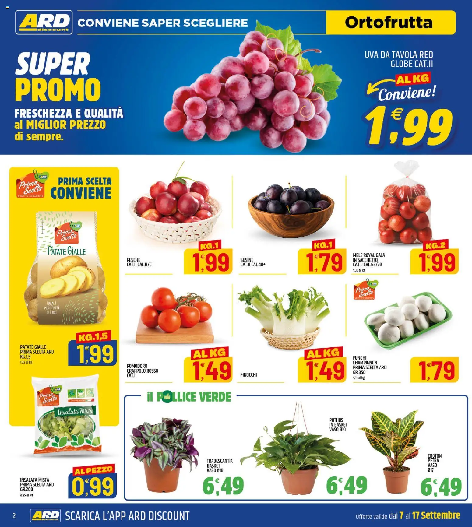 Volantino ARD Discount del 07/09/2026 | Pagina: 2 | Prodotti: Insalata, Patate, Pomodoro, Pesche