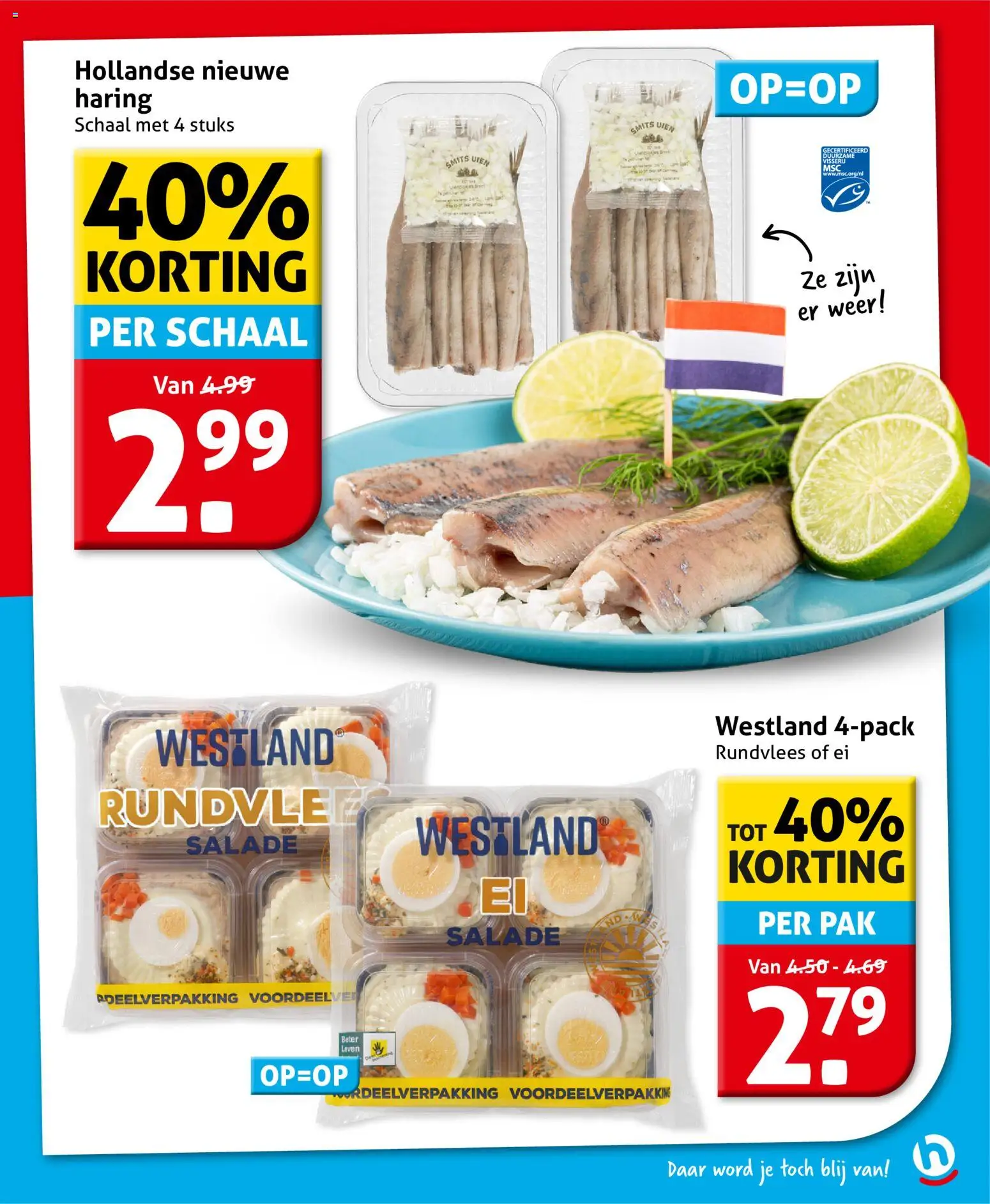 {H1} | Pagina: 11 | Producten: Schaal, Salade, Rundvlees