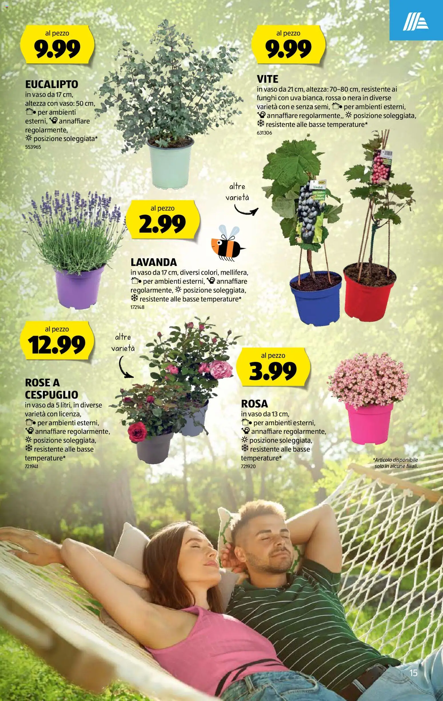 Aldi aktionen IT – gültig ab 18.06.2026 | Seite: 15
