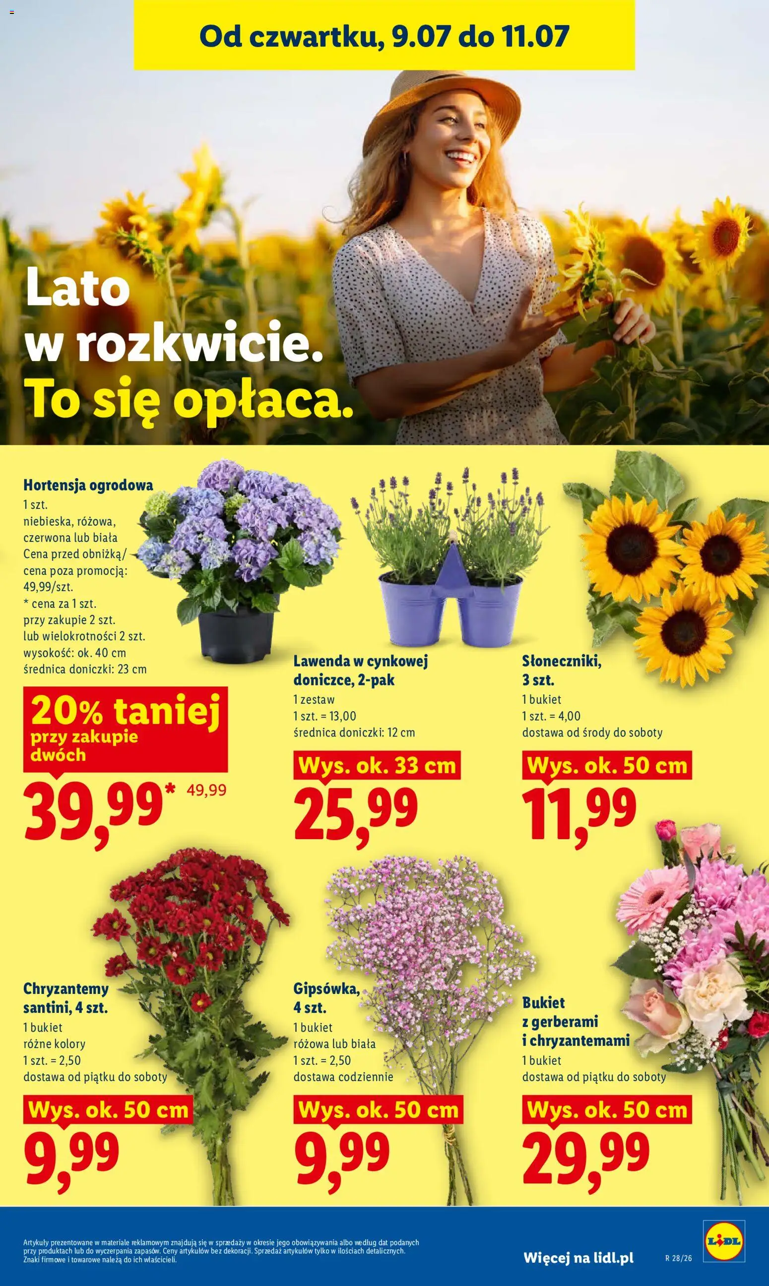 Lidl Polsko leták od 09.07.2026 | Strana: 85