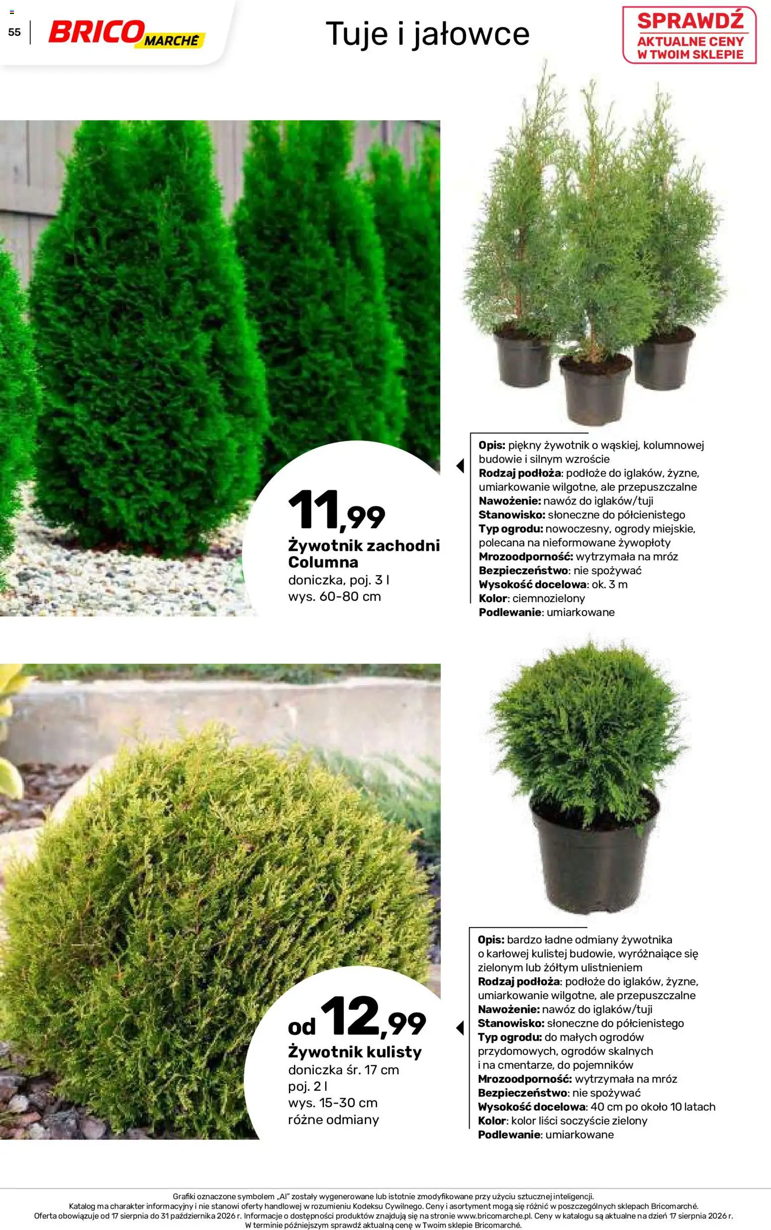 Brico Marché gazetka - Jesienne Inspiracje od 17.08.2026 | Strona: 55 | Produkty: Podłoże, Tuje, Doniczka, Nawóz