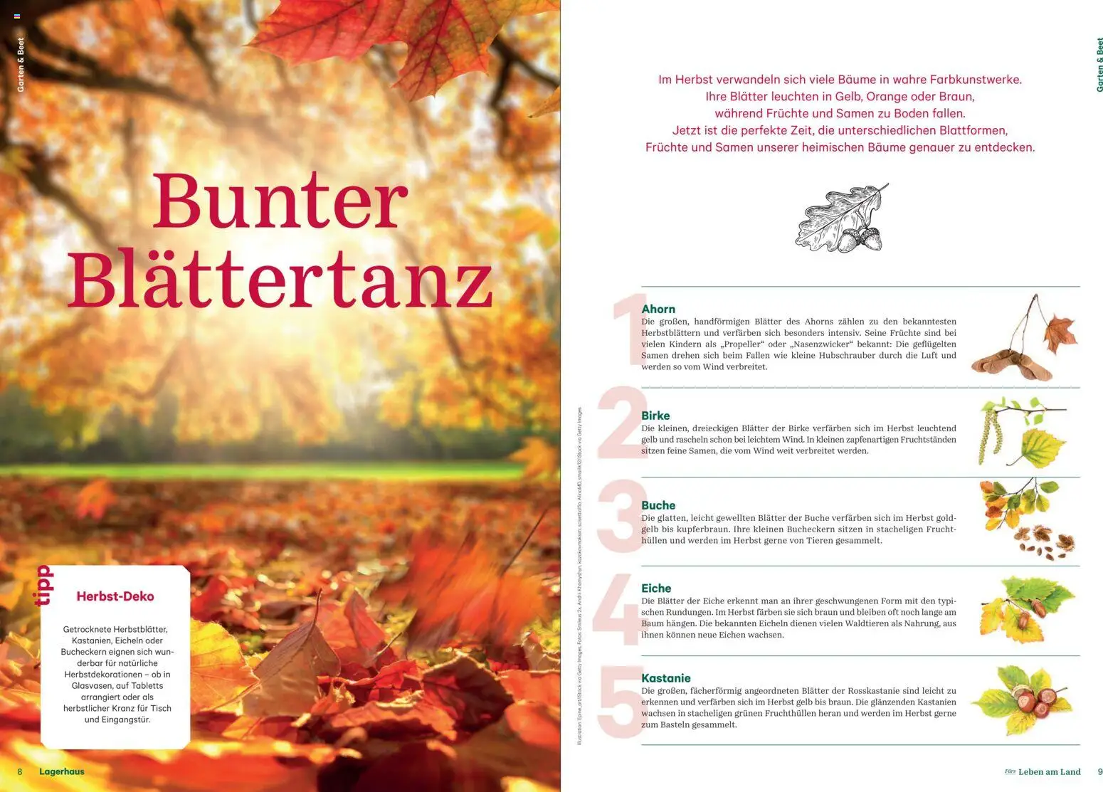Lagerhaus Fürs Leben am Land Herbst 2026 gültig ab 01.08.2026 | Seite: 5 | Produkte: Tisch