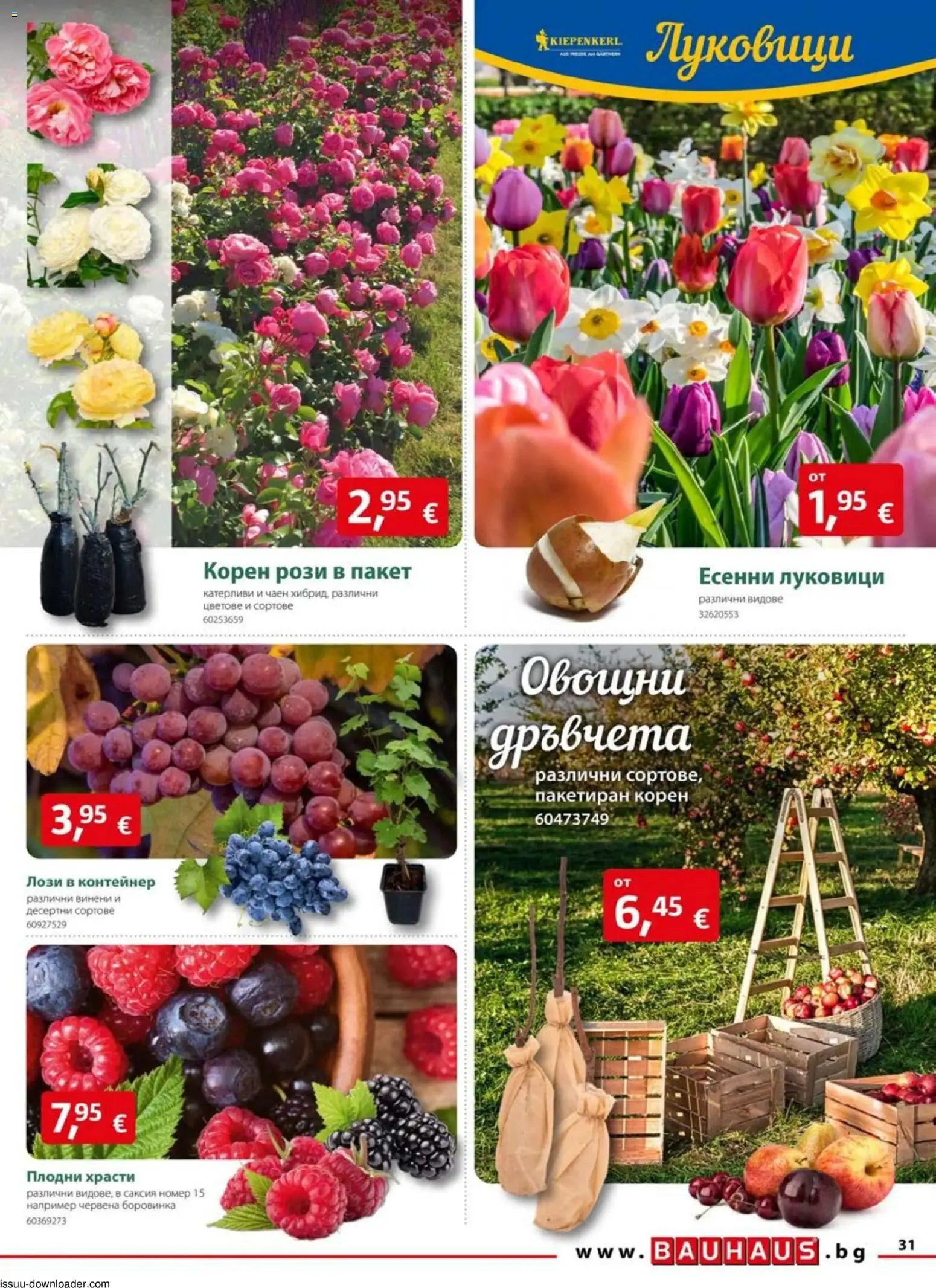{H1} | Страница: 31 | Продукти: Контейнер, Саксия