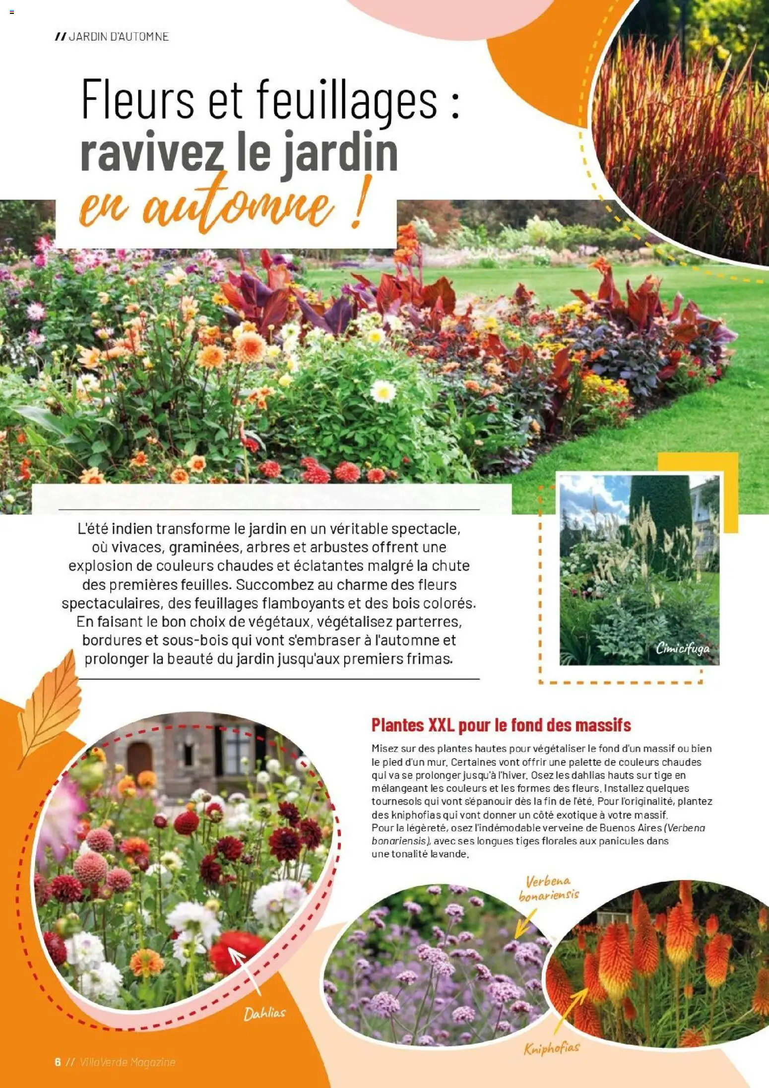 {H1} | Page: 6 | Produits: Plantes, Fleurs, Magazine