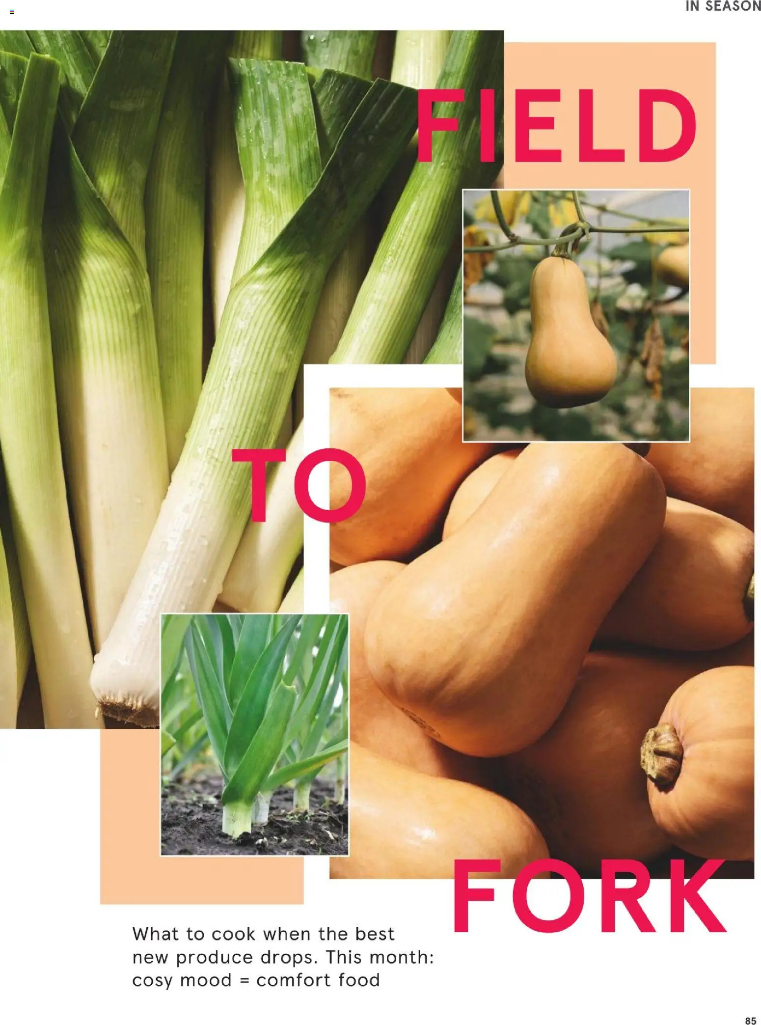 {H1} | Page: 85 | Products: Fork
