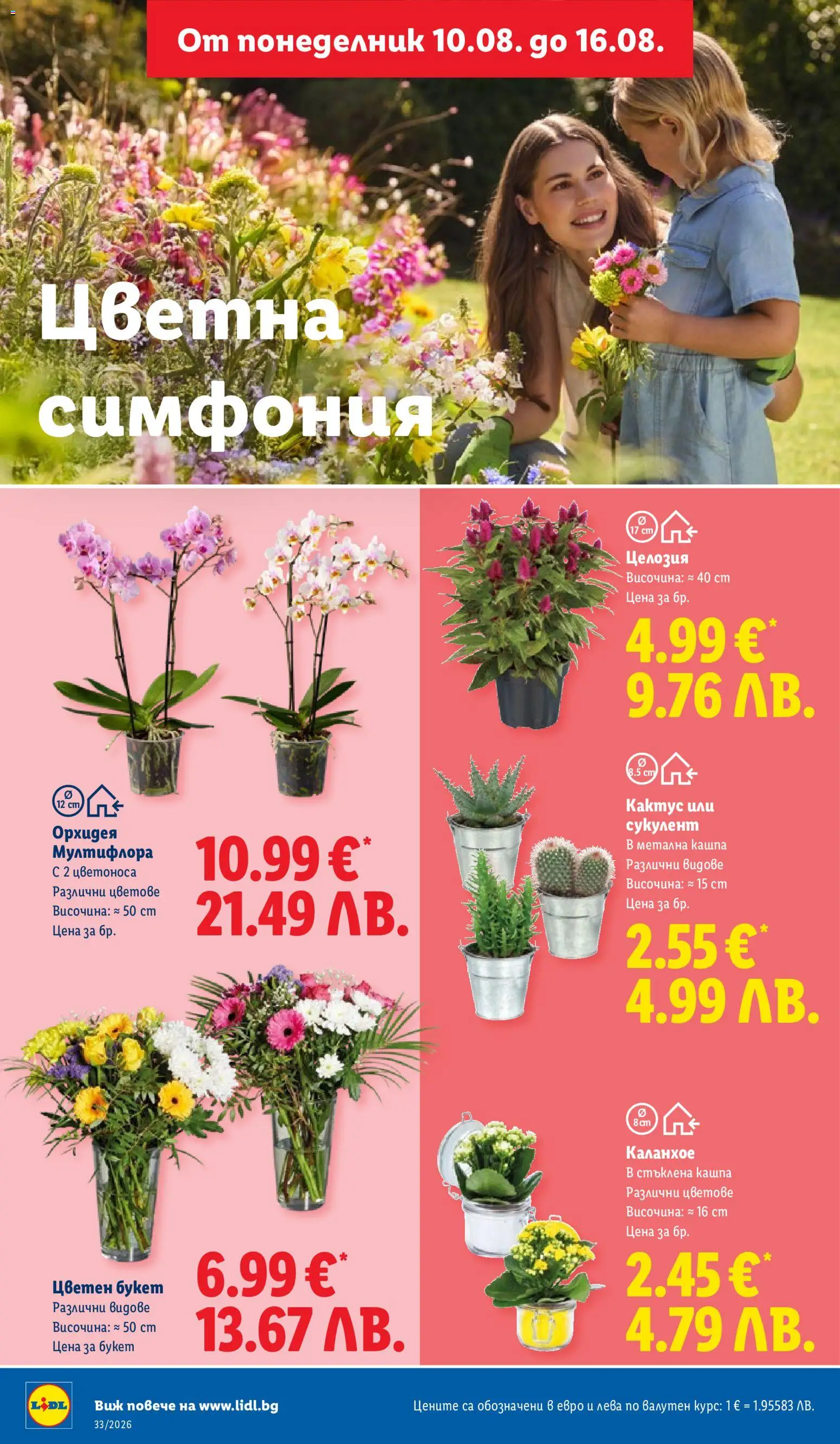 {H1} | Страница: 52 | Продукти: Орхидея