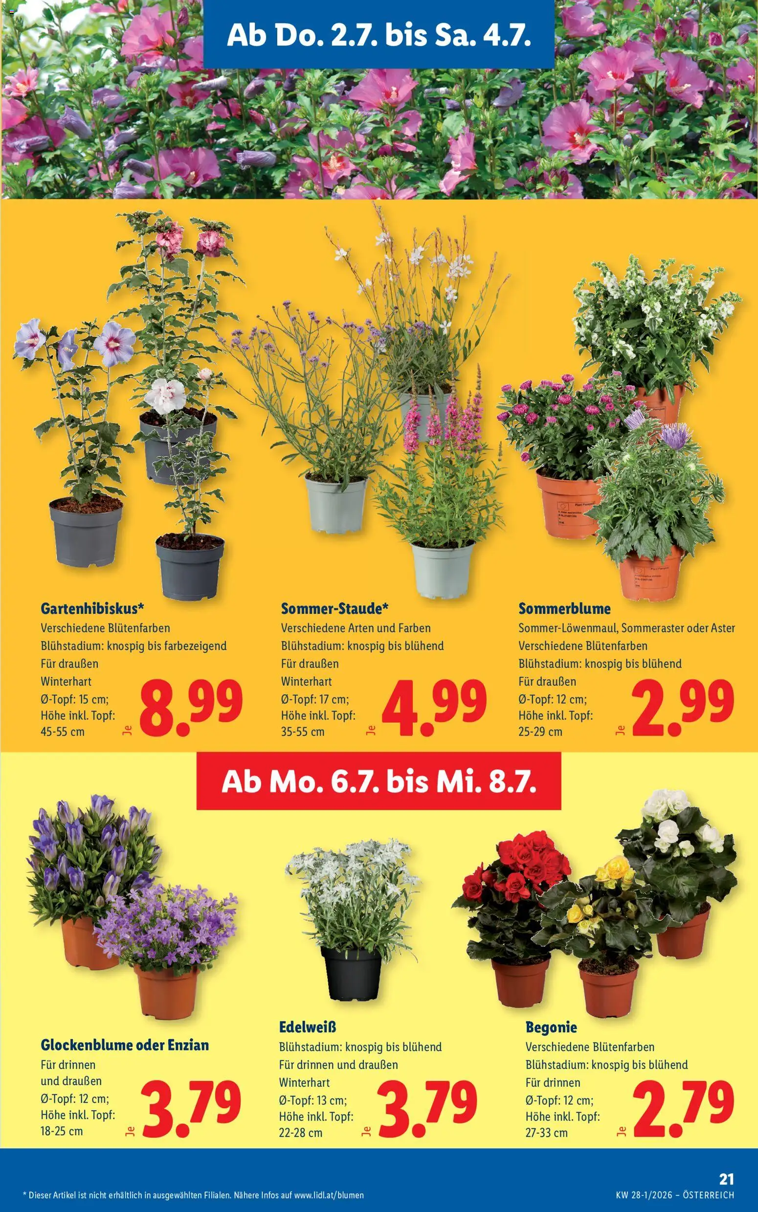 Lidl - Flugblatt gültig ab 02.07.2026 | Seite: 25