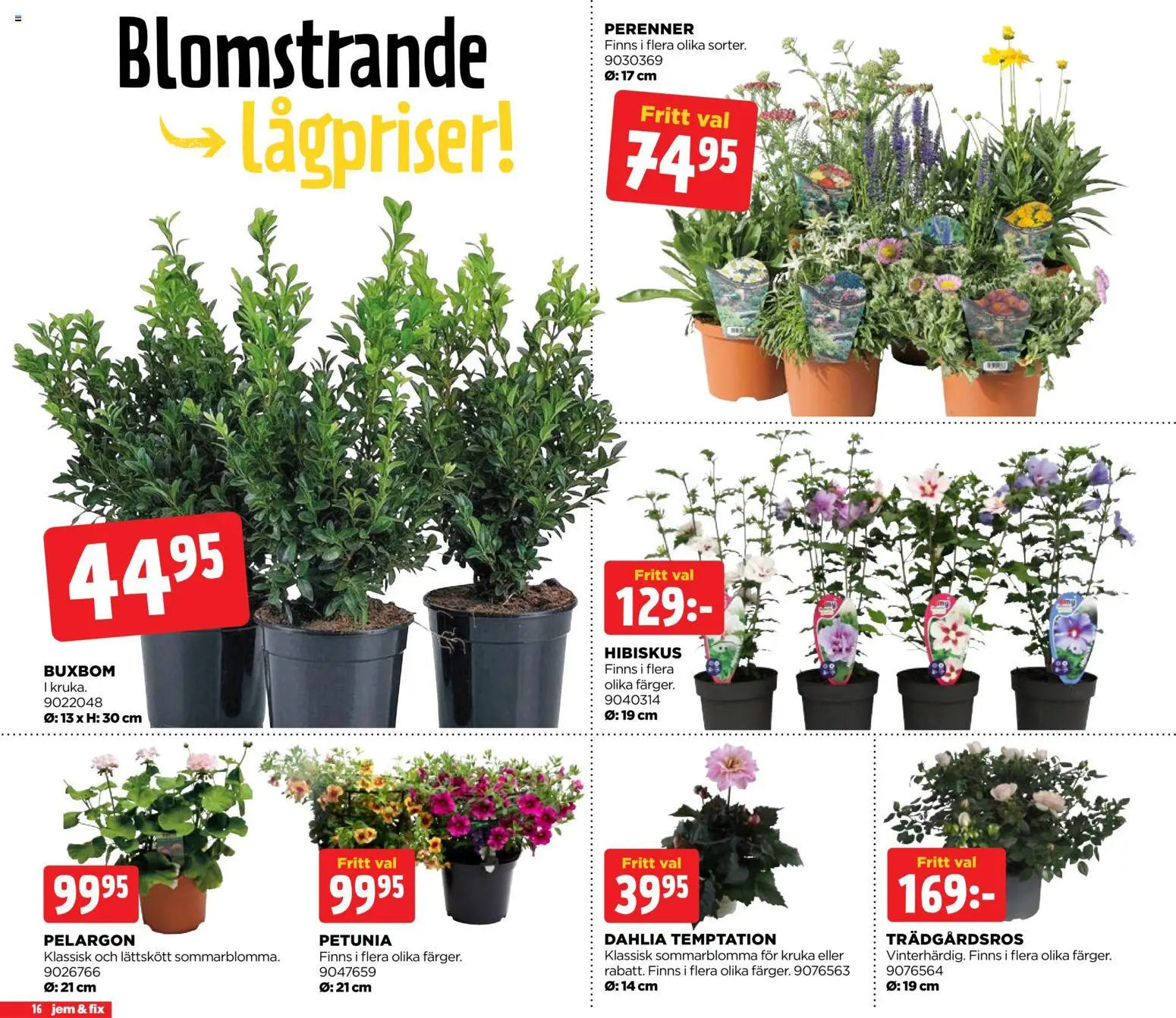 Jem & Fix reklamblad aktuell från 01.06.2026 | Sida: 16 | Produkter: Pelargon, Kruka