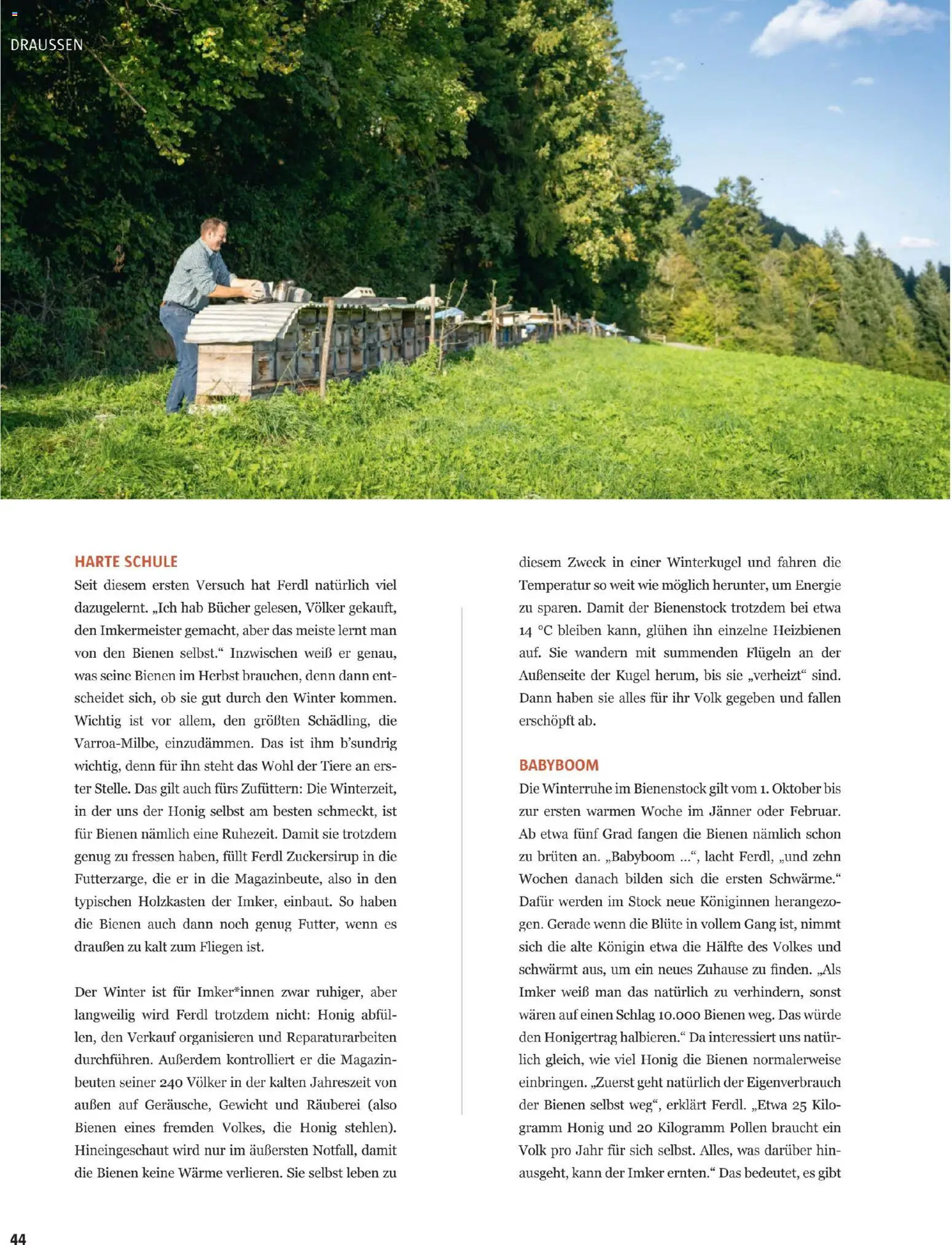 Sutterlüty B’sundrig Magazine gültig ab 17.11.2025 | Seite: 109 | Produkte: Magazin, Gewicht, Bücher