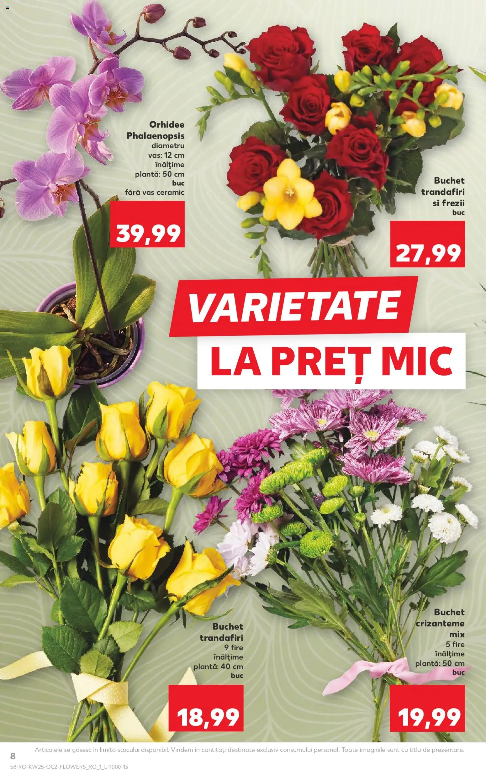 Noul catalog Kaufland – valabil de la 17.06.2026 | Pagină: 8 | Produse: Orhidee