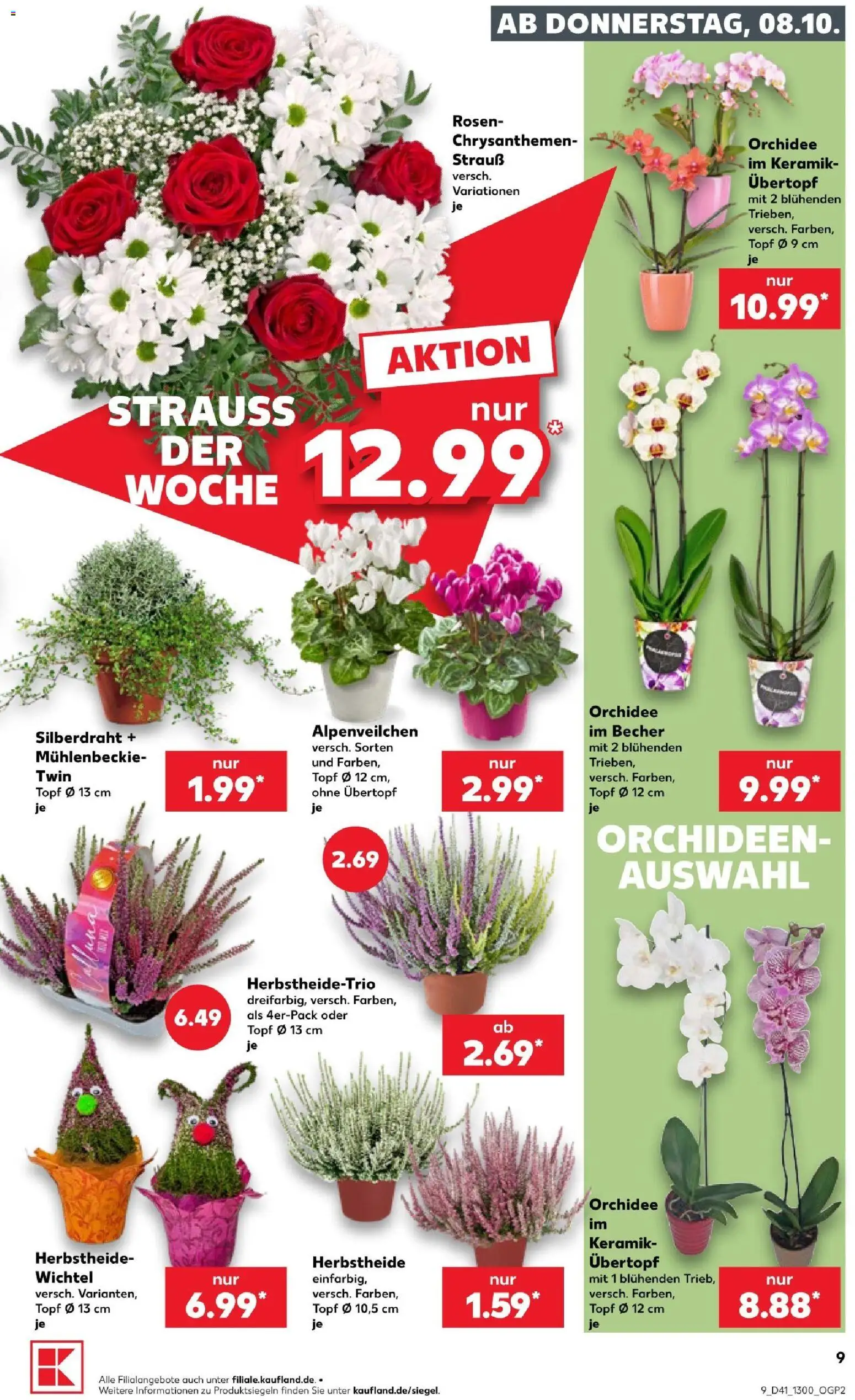 Kaufland Prospekt Völklingen – gültig ab 08.10.2026 | Seite: 11 | Produkte: Orchidee