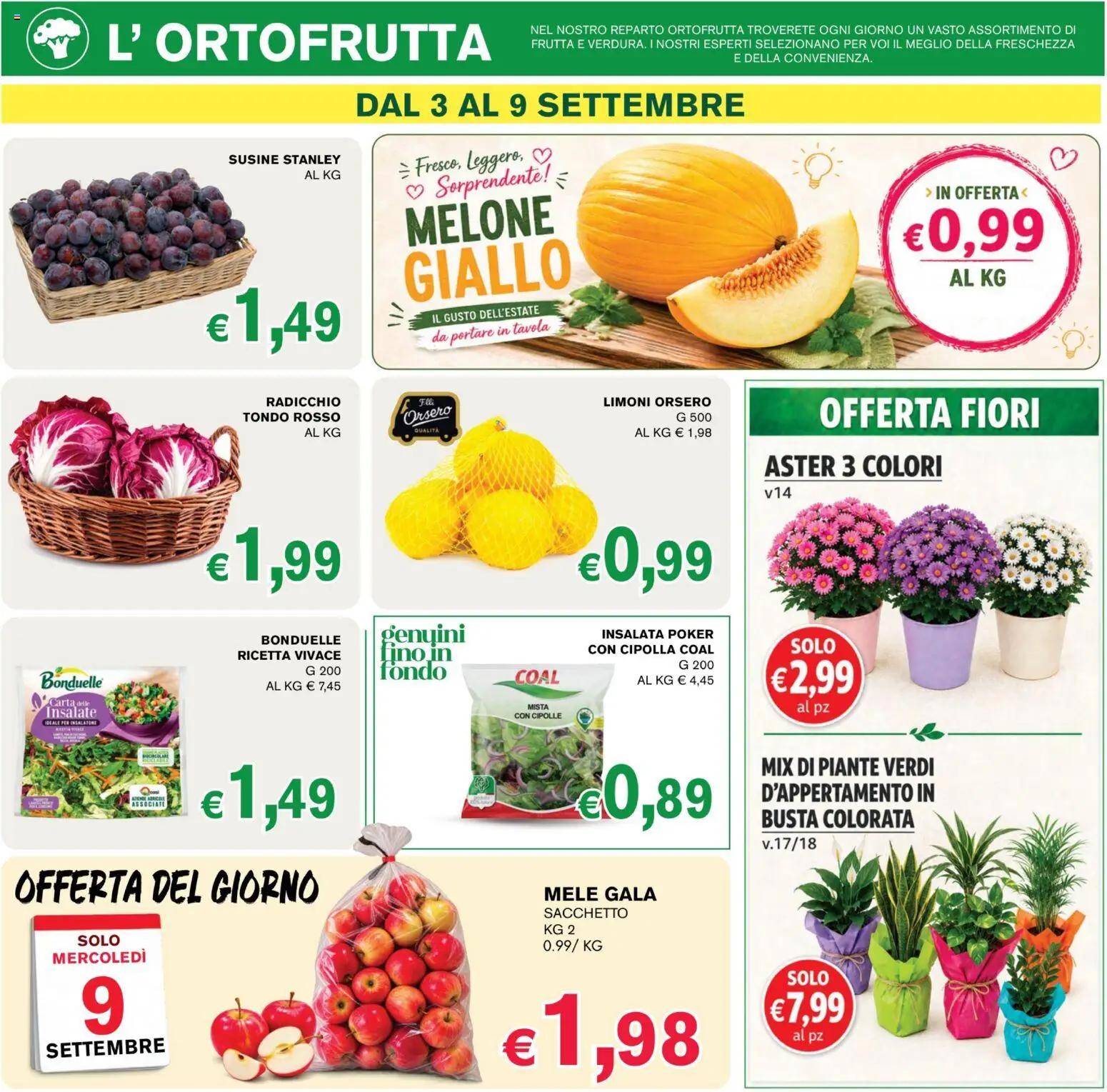 Volantino Coal del 28/08/2026 | Pagina: 3 | Prodotti: Cipolle, Cipolla, Melone, Fiori