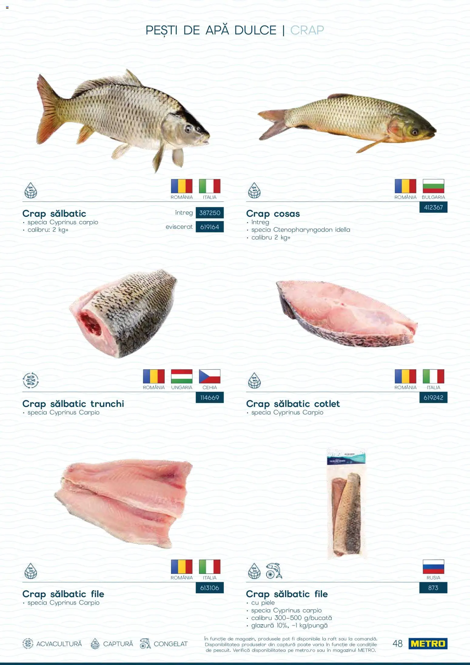 Noul catalog Metro – valabil de la 01.10.2026 | Pagină: 48 | Produse: Cotlet, Raft, Trunchi, Apă