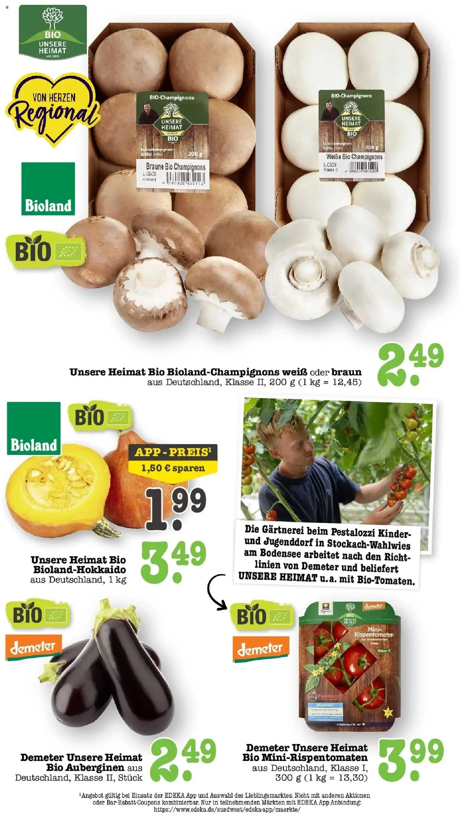 Edeka Prospekt Heidelberg (ab 31.08.2026) » Angebote Online | Seite: 21 | Produkte: Champignons