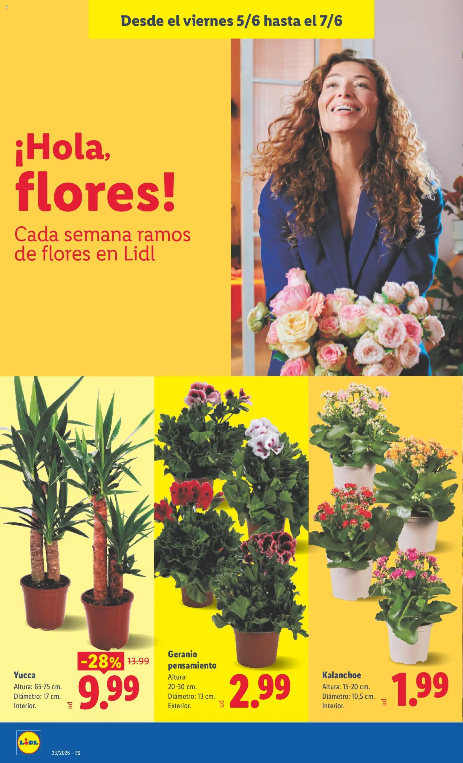 Lidl folleto Illes Balears │ válido desde el 01.06.2026 | Página: 42